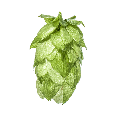 Photo of Wai-iti™ Brand - NZ Hops hop cones Photo of Wai-iti™ Brand - NZ Hops hop cones